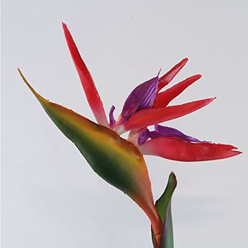 Amazon.co.uk artificial bird of paradise