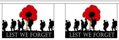 GIANT 22.75 Metres 30 (18" x 12") Flag Lest We Forget Poppy Remembrance Day War Soldiers WW1 Centenary 100% Polyester Material Bunting Ideal Party Decoration For Street House Pubs Clubs Schools