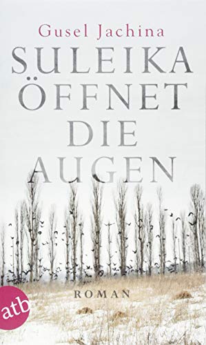 Suleika öffnet die Augen: Roman