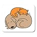 Produktbild HOTNING Gaming Mauspad Animal Cute Sleeping Dog and Cat Best Friends Adorable Cartoon 11.8"x 9.8" Decor Office Nonslip Rubber Backing Mousepad Mouse Mat