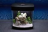 - Nano Aquarium Xcube in schwarz mit Tages- und Mondlicht