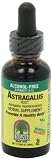 Nature’s Answer Astragalus - 9