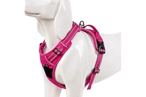 WINHYEPET True Love Dog Harness, No-Pull Reflective Pet Harness with 2 Leash Clips Adjustable Soft Padded Dog Vest with Easy Control Handle for Small Medium Large Dog TLH5651(Fushcia,L)