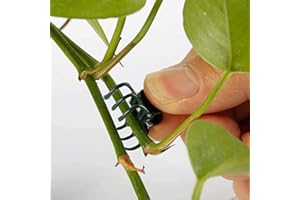Wifehelper 100 Unids Clips de Soporte de Planta Clips de Jardín Plásticos Mini Tallos Herramientas de Jardín de Flores Clips de Tallo Crecer Orquídea Vertical