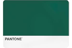 OSAMA HOME Pantone™ - Manteles Individuales de Plástico, 1 Pieza Rectangular Impermeable, Salvamanteles Individuales Antideslizante - Manteles de Mesa Antimanchas Pequeñas 45x30 Lavables a Mano y Ahorra Espacio