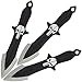 Produktbild BKL1® Wurfmesser Set Punischer 3 teilig Mit Nylonetui Throwing Knife 1219