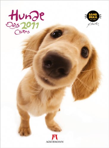 Hunde - Hanadeka 2011