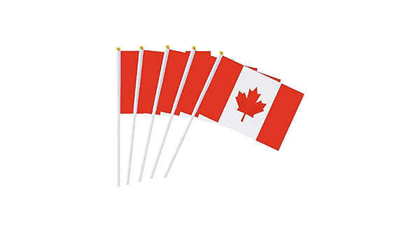 canada drapeau baton 5 5 x 8 3 pouces 50 pcs mini drapeau canadien petite main held canada drapeau couleurs vives et resistant a la decoloration amazon fr bienvenue amazon