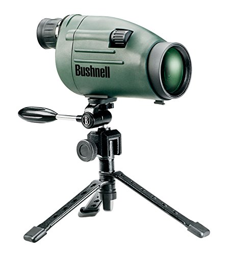 Bushnell Sentry 12-36x50 Spektiv Geradeeinblick inkl. Tischstativ und Hartschalenkoffer grn Bushnell Sentry 12-36x50 Spektiv Geradeeinblick inkl. Tischstativ und Hartschalenkoffer grn