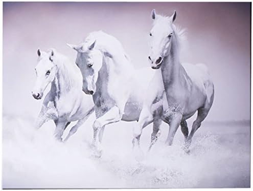 Graham & Brown Art for the Home Galloping Waves Printed Canvas