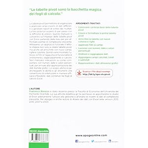 Tabelle pivot con Excel. Dalle basi all'utilizzo professionale
