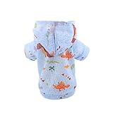 ropa de vestir y accesorios Outwear los suéteres chaquetas falda de camiseta del vestido del chaleco de la ropa interior de los pijamas sudadera Homewear pantalones física Pantalón elástico del pañal Accesorios para gatos collar electrico para perros placas para perros accesorios para perros accesorios para mascotas sofas para perros tienda de animales online tienda mascotas bolsos para perros tienda de mascotas abrigos para perros grandes camas para perros