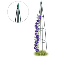 Enrejados para jardín | Amazon.es