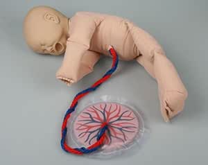 Fetuspuppe mit Plazenta