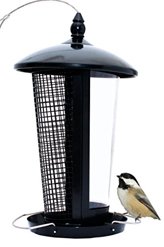 El Mejor Alimentador de Aves Silvestres para Decorar tu Casa o Jardín, Diseñado para todo Tipo de Semillas, Maní y Frutas Secas, es Perfecto para Pajaros Pequeños, Medianos y Grandes, Comedero Decorativo para Exterior. Ideal para Regalar a tu Familia o Amigos