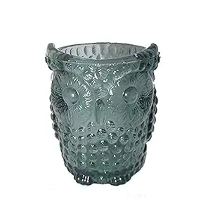 GreeniFi Premium Glass Owl Planter (Without Drainage Hole) for Multiple Usage Like Candle Holder/Brush Holder/Pot/Planter for hrdroponic Plants, Tinted Grey with The Size of 4x3.5x3.5 inches