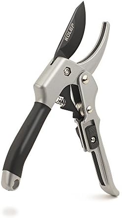 KOLEP Anvil Pruning Shears, 8-Inch, SK-5 Steel Blade, Silver, Professional Garden Flower Clippers, Tree Trimmer, Grafting Cutting Scissor, KP001D25A