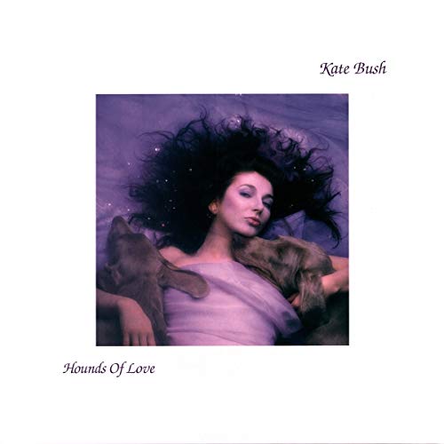 Hounds Of Love (2 LP)