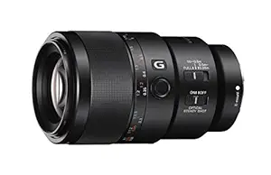 Sony SEL90M28G FE 90mm f/2.8-22 Macro G OSS Standard-Prime Lens for Mirrorless Cameras,Black