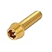 Produktbild M6x25mm Goldton TC4 Titan Sechskant Kegelkopf MTB Fahrrad V Bremse Schrauber de