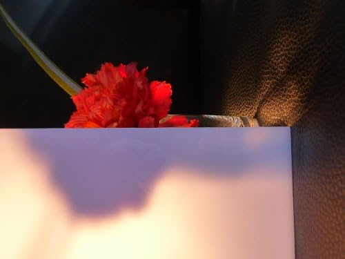 solid polycarbonate sheet, 1000 x 1000 x 3 mm Plate white opal plate 30% light transmission