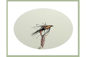 TROUTFLIES UK NYMPH FLIES 12 pack Diawl Bach Nymph - Black UV Straggle - Fishing Flies. Mixed sizes 10-14