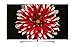Price comparison product image LG (Premium SDA) LG OLED B7D - 164 cm (65 Zoll) OLED TV (4K Ultra HD, HDR 10, Dolby Vision, Smart TV, PVR, WLAN, Twin Tuner, USB)