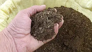 Creative Farmer Organic Cow Dung - Rose Fertilizers Dried Powder (500 Gram)