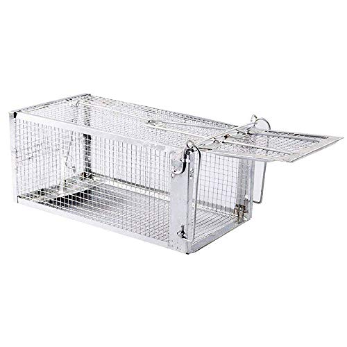 BestTrap - Trampa para Ratones, Ratones, Ardillas y roedores similares para Interiores y Exteriores