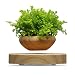 Produktbild Prom-near Blumentopf Levitation Topf Mit Blumen Topf Mit Schwimmenden Blumen Pflanzen Levitation Für Die Meisten Pflanzen Mit LED Anzeige