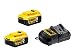 Produktbild DeWalt Akku Set DCB115P2-QW mit Ladegerät für alle 18,0 Volt XR Akku-Maschinen - 2x Lithium Akku, 1x Schnellladegerät für XR-Akkus - Lädt DeWalt XR Akkus von 10,8 bis 18,0 V - LED-Ladeanzeige