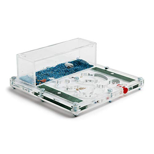 AntHouse Fourmiliere Éducatif (Fourmis et Reine gratuites)