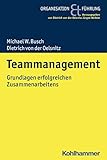 Teammanagement: Grundlagen erfolgreichen Zusammenarbeitens (Organisation und Führung) by Michael W. Busch, Dietrich von der Oelsnitz
