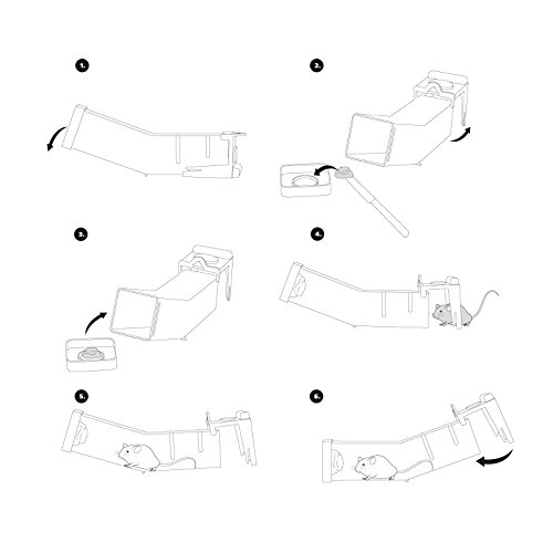 Gardigo Maus-Wipp-Falle 4er Set Lebendmausefalle Wippfunktion, Mausefalle, Lebendfalle, Mäusefalle - 2