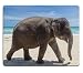 Produktbild Naturkautschuk Gaming Mousepad Thai Elefant am Strand (Mauspad/Gaming Mauspad)