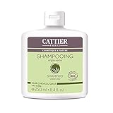 Cattier Oily Scalp Green Clay Shampoo 250ml by Cattier