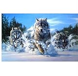 Anlass: Schön Wanddeko, geeignet für glatte Wände von Wohnzimmer, Kinderzimmer, Schlafzimmer, Esszimmer, Büro, Cafe, Flur, Bar usw.