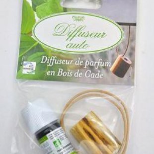 Difusor Coche menta