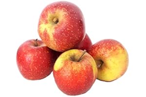 ‎LAMERA Äpfel Wellant Allergikerapfel aus Deutschland/Bodensee saftig süßer Apfel 1-10 KG (10)