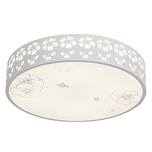 Preisvergleich Produktbild Damlonby Führte kreisförmige Schlafzimmerdeckenleuchte die Raumbeleuchtungsschneeflocke Durchmesser 40cm 3 Farbtemperatur 24W