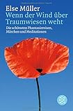 Wenn der Wind über Traumwiesen weht: Die schönsten Phantasiereisen, Märchen und Meditationen by Else Müller