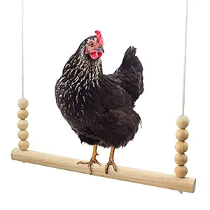 Backyard Barnyard Chicken Swing Toy for Coop (Round Bar) Handmade in USA! Natural Safe Large Wood Perch Ladder for Poultry Run Rooster Hens Chicks Pet Parrots Pollo Stress Relief for Birds