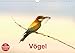 Vögel (Wandkalender 2017 DIN A4 quer): Einheimische Vögel (Geburtstagskalender, 14 Seiten ) (CALVENDO Tiere) by 