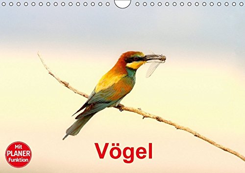 Vögel (Wandkalender 2017 DIN A4 quer): Einheimische Vögel (Geburtstagskalender, 14 Seiten ) (CALVENDO Tiere)