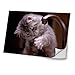 Produktbild Katzen 10039, Graue Katze, Skin-Aufkleber Folie Sticker Laptop Vinyl Designfolie Decal mit Ledernachbildung Laminat und Farbig Design für Laptop 11.6"