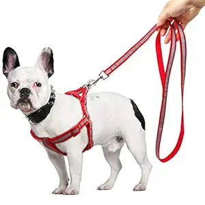 Smarty Pet Reflective Nylon Dog Harness and Leash Set for Puppies and Dogs 15mm, Red, Black, Blue, Purple (Color May Vary)