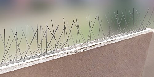 5 Meter Taubenspikes 2-reihig auf Polycarbonat – hochwertige Lösung für Vogelabwehr Taubenabwehr Spikes - 5