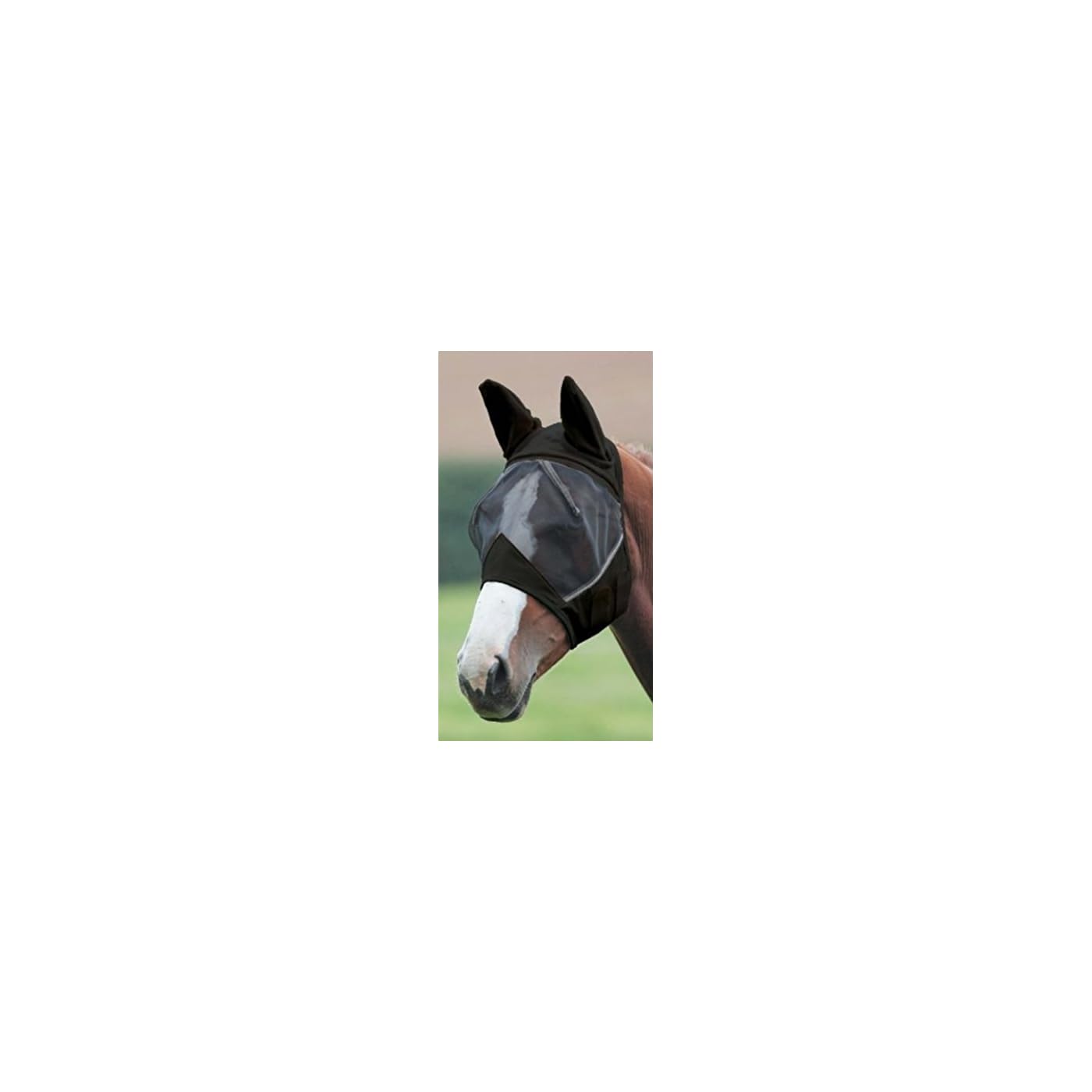 Horse ‘n’ Pony