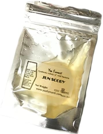Yaa Fumanti Jun Scoby And Starter Kit With Recipe And Step By Step Simple Guide