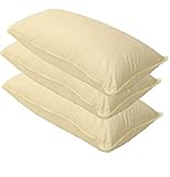 3 x Sofa Federkissen 50x80 cm (echte Federn) robust & formstabil 3 x Sofa Federkissen 50x80 cm (echte Federn) robust & formstabil